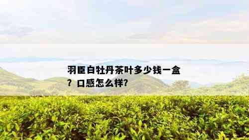 羽臣白牡丹茶叶多少钱一盒？口感怎么样？