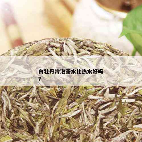 白牡丹冷泡茶水比热水好吗？