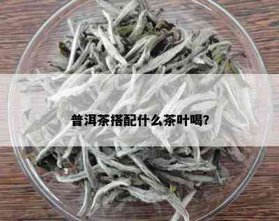 普洱茶搭配什么茶叶喝？