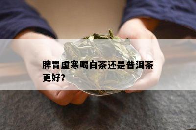 脾胃虚寒喝白茶还是普洱茶更好？