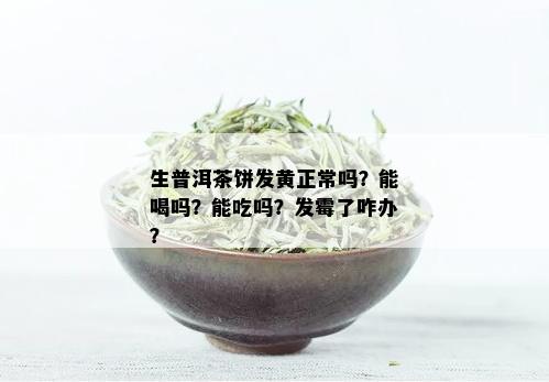 生普洱茶饼发黄正常吗？能喝吗？能吃吗？发霉了咋办？