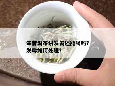 生普洱茶饼发黄还能喝吗？发霉如何处理？