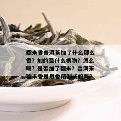 糯米香普洱茶加了什么那么香？加的是什么植物？怎么喝？是否加了糯米？普洱茶糯米香是用香精制成的吗？