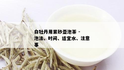 白牡丹用紫砂壶泡茶 - 泡法、时间、适宜水、注意事