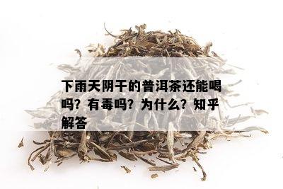 下雨天阴干的普洱茶还能喝吗？有吗？为什么？知乎解答