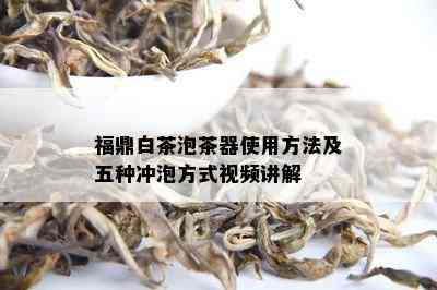 福鼎白茶泡茶器使用方法及五种冲泡方式视频讲解