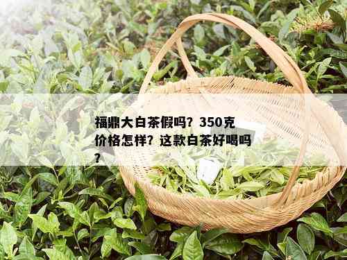 福鼎大白茶假吗？350克价格怎样？这款白茶好喝吗？