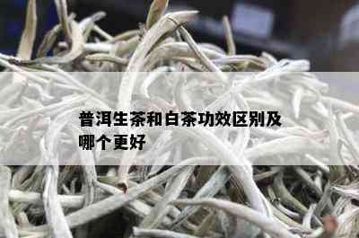 普洱生茶和白茶功效区别及哪个更好