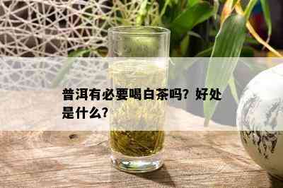 普洱有必要喝白茶吗？好处是什么？