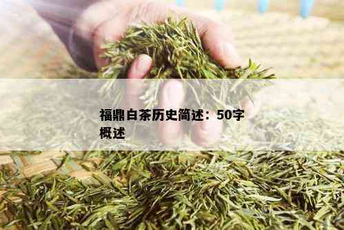 福鼎白茶历史简述：50字概述