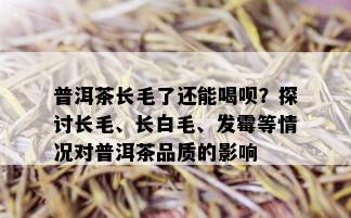 普洱茶长毛了还能喝呗？探讨长毛、长白毛、发霉等情况对普洱茶品质的影响