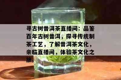 寻古树普洱茶直播间：品鉴百年古树普洱，探寻传统制茶工艺，了解普洱茶文化，亲临直播间，体验茶文化之旅。