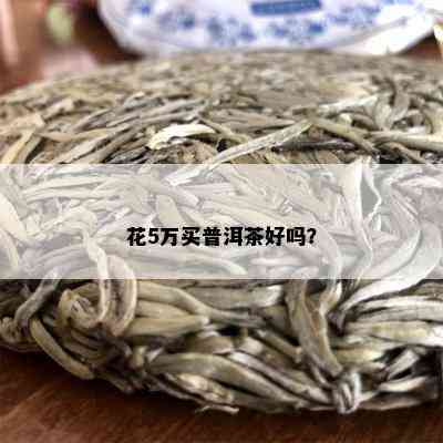 花5万买普洱茶好吗？