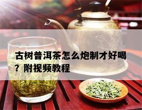 古树普洱茶怎么炮制才好喝？附视频教程