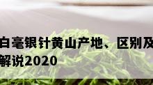 白毫银针黄山产地、区别及解说2020