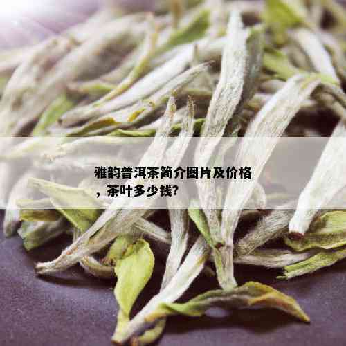 雅韵普洱茶简介图片及价格，茶叶多少钱？