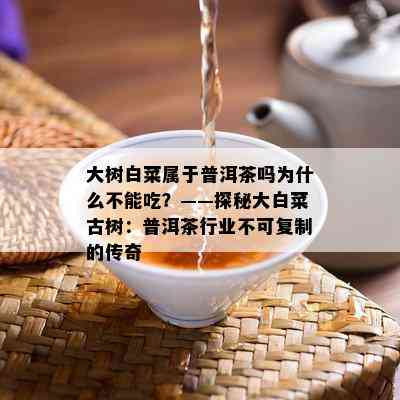 大树白菜属于普洱茶吗为什么不能吃？——探秘大白菜古树：普洱茶行业不可复制的传奇