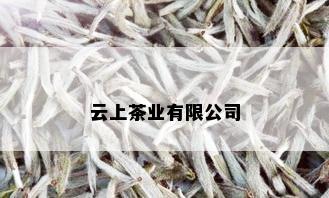 云上茶业有限公司