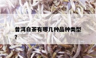 普洱白茶有哪几种品种类型？