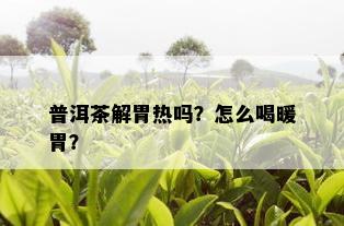 普洱茶解胃热吗？怎么喝暖胃？