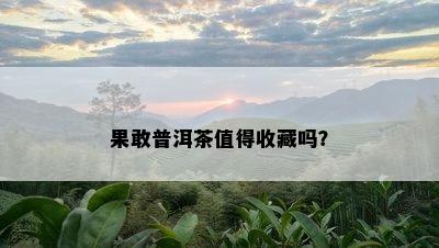 果敢普洱茶值得收藏吗？