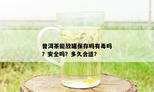 普洱茶能放罐保存吗有吗？安全吗？多久合适？