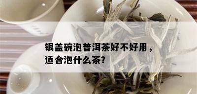 银盖碗泡普洱茶好不好用，适合泡什么茶？