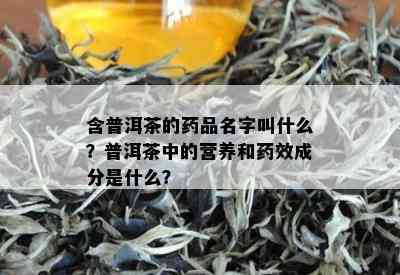 含普洱茶的品名字叫什么？普洱茶中的营养和效成分是什么？