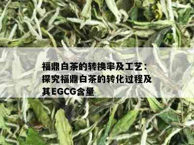 福鼎白茶的转换率及工艺：探究福鼎白茶的转化过程及其EGCG含量