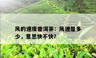 风的速度普洱茶：风速是多少，意思快不快？