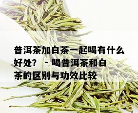 普洱茶加白茶一起喝有什么好处？ - 喝普洱茶和白茶的区别与功效比较