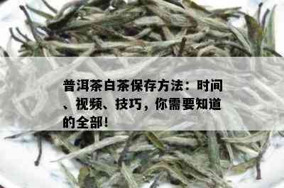 普洱茶白茶保存方法：时间、视频、技巧，你需要知道的全部！