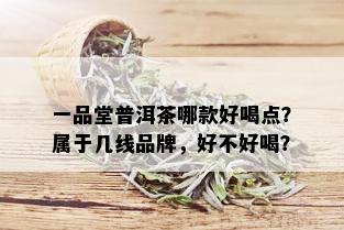 一品堂普洱茶哪款好喝点？属于几线品牌，好不好喝？