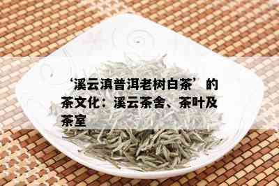 ‘溪云滇普洱老树白茶’的茶文化：溪云茶舍、茶叶及茶室