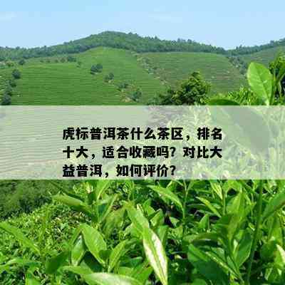 虎标普洱茶什么茶区，排名十大，适合收藏吗？对比大益普洱，如何评价？