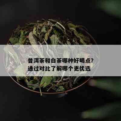 普洱茶和白茶哪种好喝点？通过对比了解哪个更优选