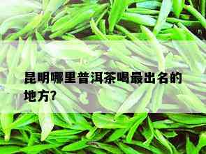 昆明哪里普洱茶喝最出名的地方？