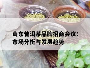 山东普洱茶品牌招商会议：市场分析与发展趋势