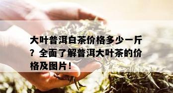 大叶普洱白茶价格多少一斤？全面了解普洱大叶茶的价格及图片！