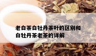 老白茶白牡丹茶叶的区别和白牡丹茶老茶的详解