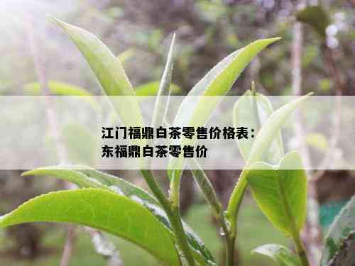 江门福鼎白茶零售价格表：东福鼎白茶零售价