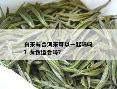 白茶与普洱茶可以一起喝吗？女性适合吗？