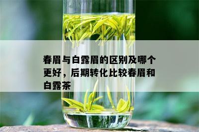 春眉与白露眉的区别及哪个更好，后期转化比较春眉和白露茶