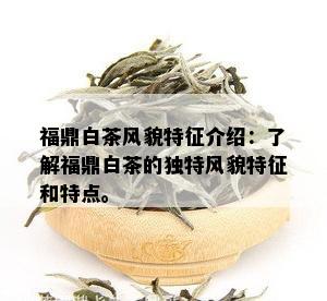 福鼎白茶风貌特征介绍：了解福鼎白茶的独特风貌特征和特点。