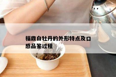 福鼎白牡丹的外形特点及口感品鉴过程