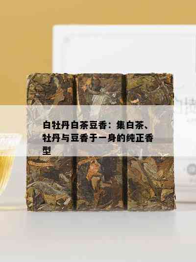 白牡丹白茶豆香：集白茶、牡丹与豆香于一身的纯正香型