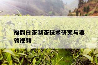 福鼎白茶制茶技术研究与要领视频