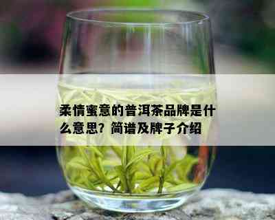 柔情蜜意的普洱茶品牌是什么意思？简谱及牌子介绍