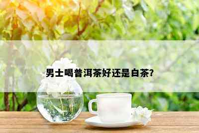 男士喝普洱茶好还是白茶？