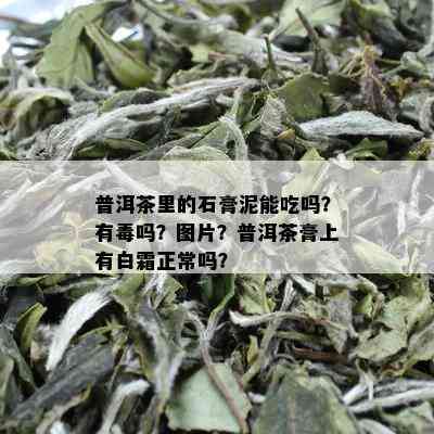 普洱茶里的石膏泥能吃吗？有吗？图片？普洱茶膏上有白霜正常吗？